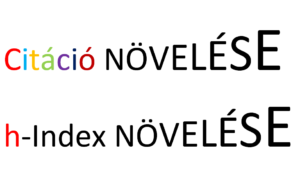 Citáció növelése, Hirsch index növelése